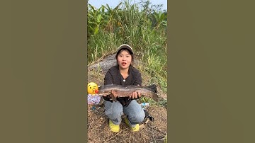 Câu cá lóc khủng #câucá #cauca #fishing #fishinglife #fish #caulure