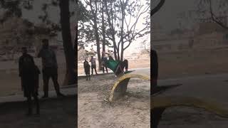 Real Or Reversed?🤔 Crazy Parkour Videos