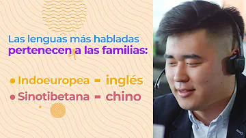 ¿Cuál es la familia lingüística más hablada actualmente en el mundo?