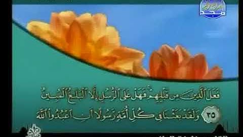 خليفة الطنيجي   سورة النحل  Holy Quran Holy Quran  HD