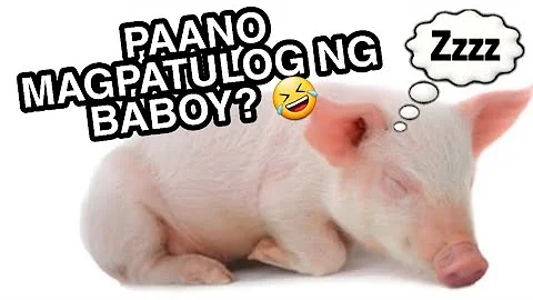 Teknik kung paano magpatulog ng baboy.haha || Laftrip na trip ni Pamangkin