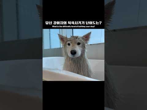What is the difficulty <strong>level</strong> of bathing your <strong>dog</strong>?