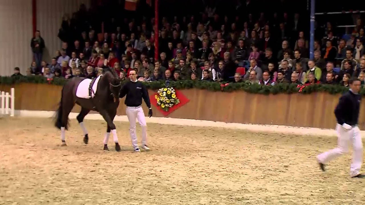 Quality *1999 by Quinar - Lantaan (Stallion Show Sosath 2013)