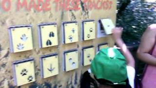 Identifying birds from their sound