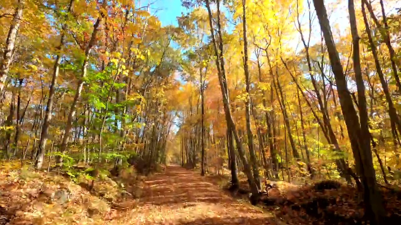 Best Biking Trails in CT - Air Line Trail (4K)