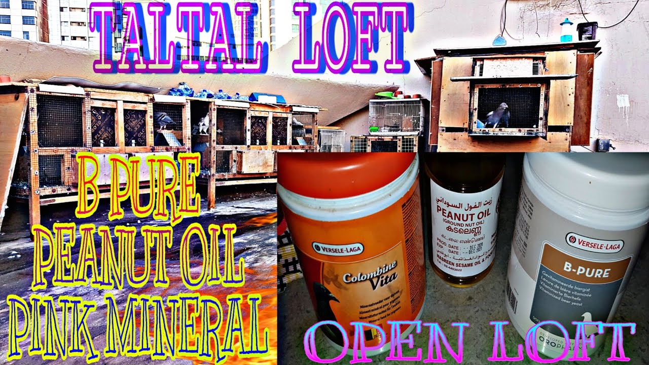 TALTAL LOFT #45 PEANUT OIL + B PURE BREWER YEAST + PINK MINERAL + OPEN LOFT HAPPY FLYING GODBLESS