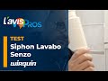 Test du siphon de lavabo senzo de wirquin  lavispros