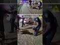 En video: rescatan a perro atrapado dentro de casa en llamas
