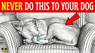 Dog Psychology | 12 MISTAKES That Make Your DOG Think You DON’T LOVE Him