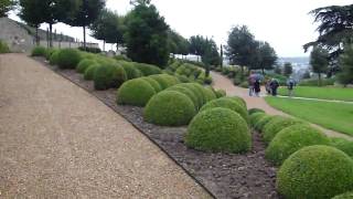 Shrubbery