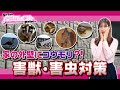 【要注意】外壁がコウモリの巣に?!害獣 害虫対策と予防をプロが解説!