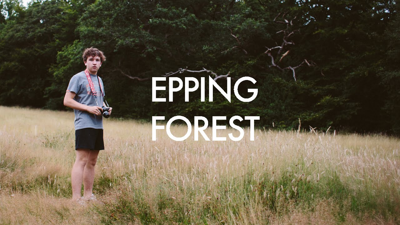 Epping Forest YouTube