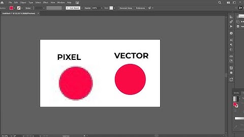 Vector vs Pixel Graphics Explained in 5 Minutes