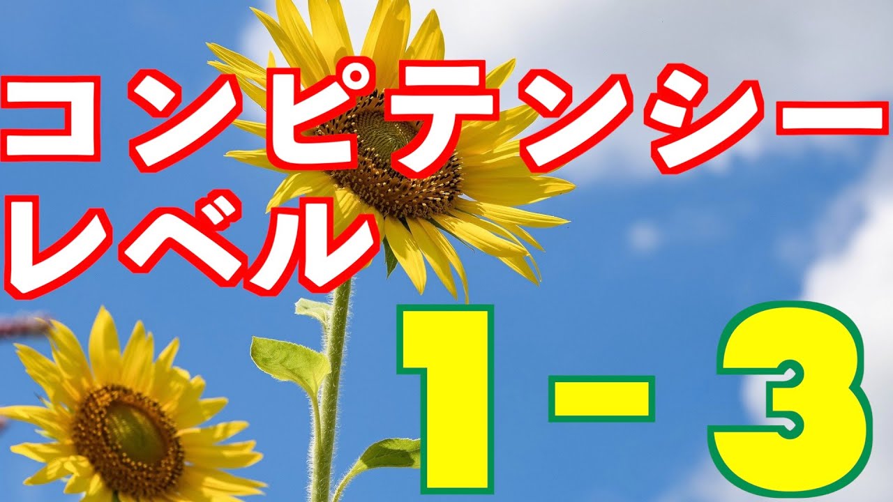『コンピテンシー評価研修（第４回）』コンピテンシーのレベル尺度　【レベル１〜レベル３】　＜坂本健＞