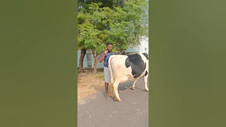 🥰கண்ணாடி  போல hf❤️✨