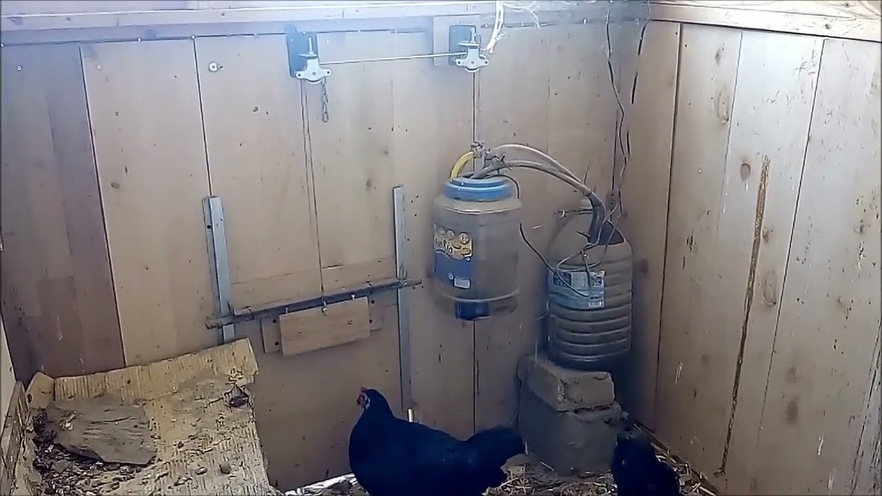 Puerta automática del gallinero de pollo para abridor de aves de corral  granja accesorios de animales jaula pato mascota ganado equipo gallinero  puerta herramienta