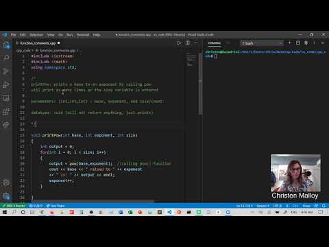 Function Comments
