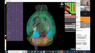 Live Demo: 4-Shank Probe Trajectory Planning | Pathfinder, Pinpoint & NTE