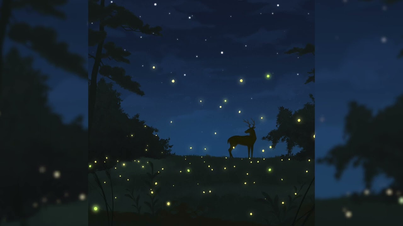 Prithvi x sftspkn - Field of Fireflies