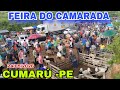 FEIRA DO CAMARADA EM CUMARÚ -PE GRANDE FEIRA DE GADO  24/05/2026