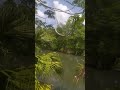 visita la bendición en tierra blanca(1)