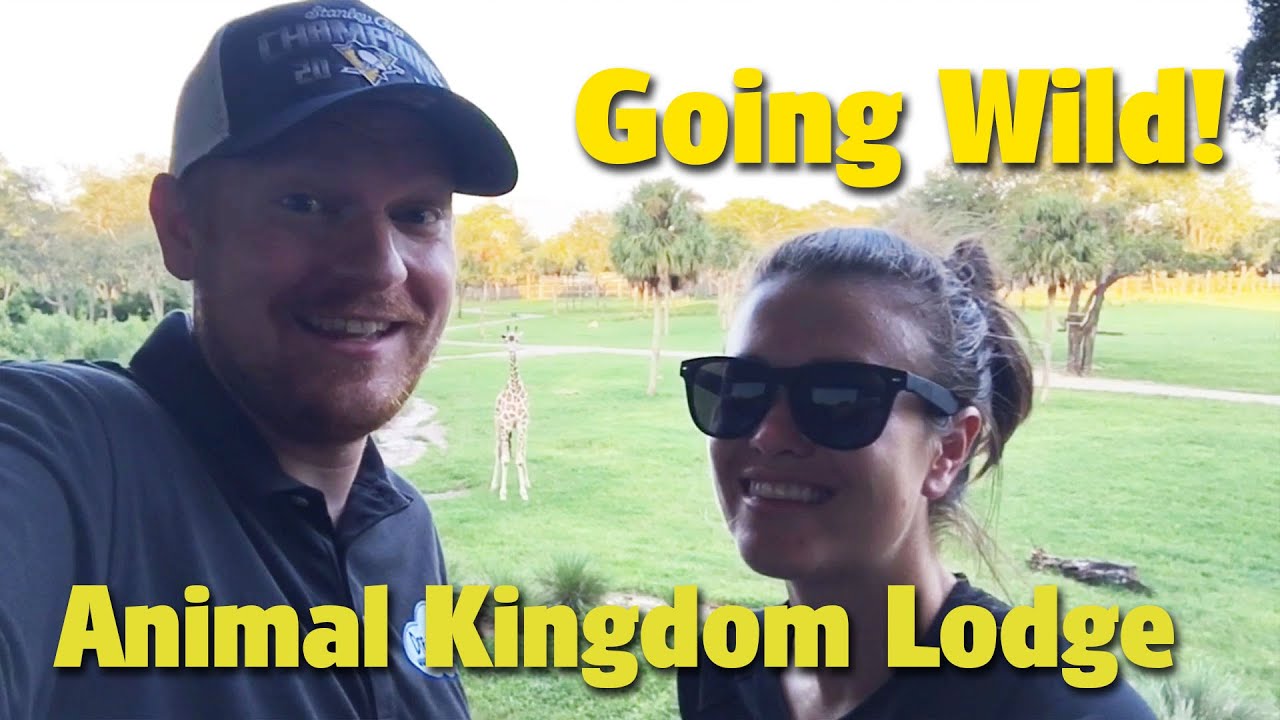 Craig and Kylie go wild at Animal Kingdom Lodge! YouTube