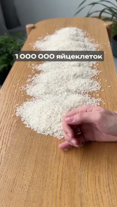 Сколько яйцеклеток у девушки - YouTube