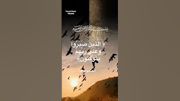 سورة العنكبوت الآية 59