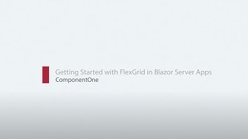 Getting Started with FlexGrid in Blazor Server Apps