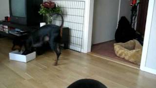 Bild 489.avi