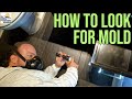 Early Stage Mould Inspection Tips From A Mold Inspector Early Stage Mould Inspection Tips From A Mold Inspector