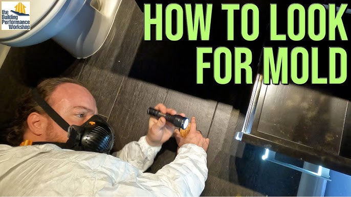 Mold Armor Test Kit Review