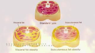 ★The Ultimate Fat Burning Machine★