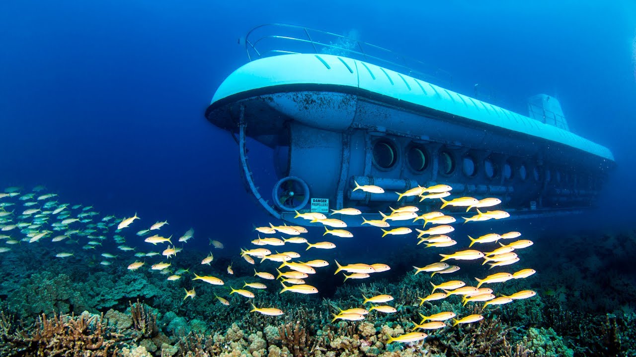 tour submarine ride