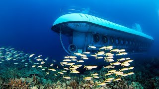 Oahu Atlantis Submarine Adventure in Hawaii