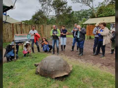 Video: Nordamerikas Galapagos: 5 Utomhusäventyr På Kaliforniens Santa Cruz Island - Matador Network