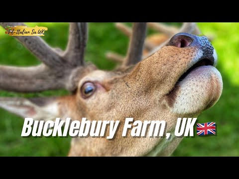 Bucklebery Farm | Reading, England UK
