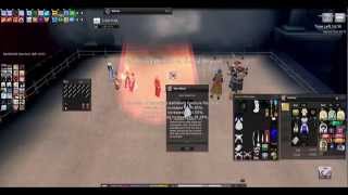 [Mabinogi NA] NPC Solo with only Bash and FH