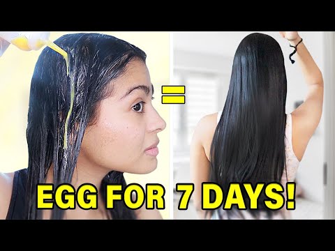 I Used 1 Egg On My Hair Every Day For 7 Days & THIS HAPPENED! *this works!*