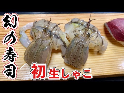 幻の生しゃこ寿司を食べてみた 飯テロ まぐろトロもウニも凄かった Sushi Japanese Food Youtube