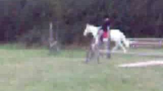 Pairs Jumping Fall x