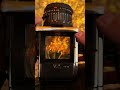 フィルムカメラで紅葉散歩の楽しみ|Hasselblad 203 FE
