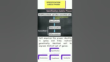 Specification | Developmental Biology 🔥 #Shorts