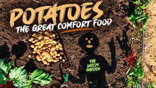 Best Potato Harvest of my LIFE - Testing 3 Different Ways to Grow Spuds