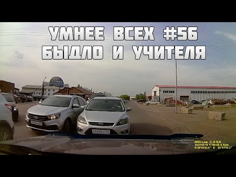 УМНЕЕ ВСЕХ #56. БЫДЛО И УЧИТЕЛЯ НА ДОРОГЕ