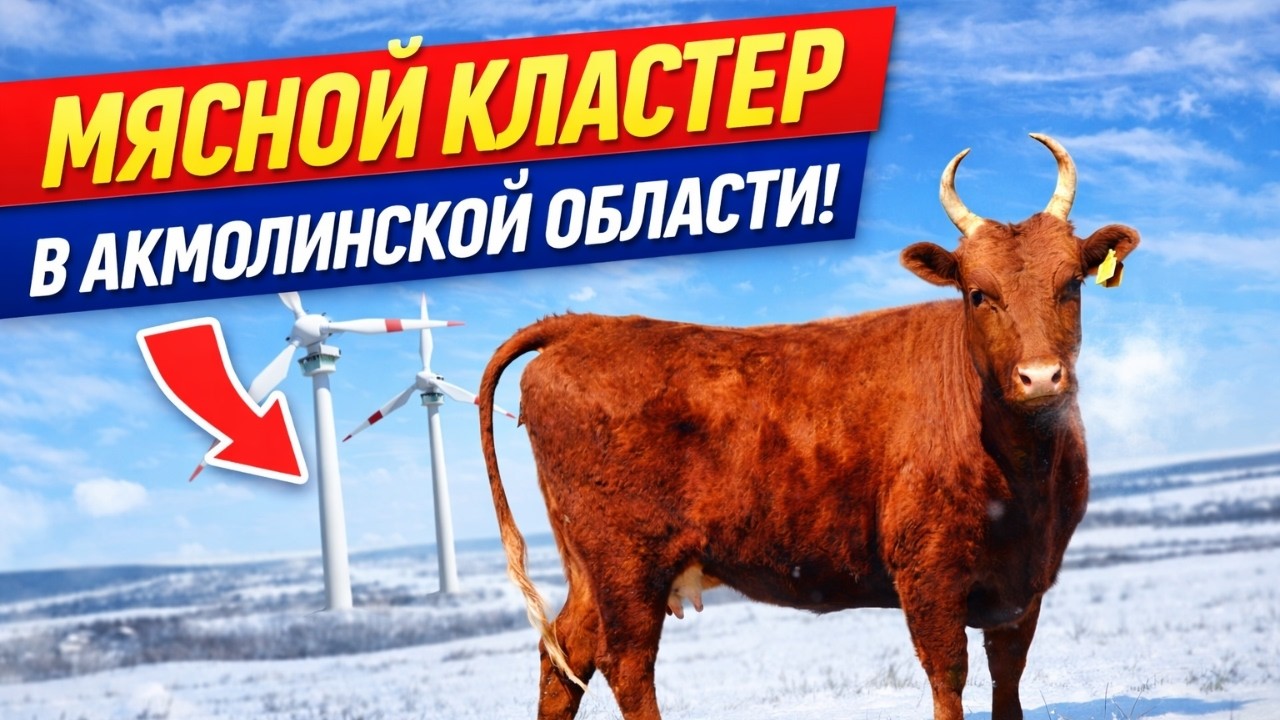 Самая большую откормплощадку и мясной центр планируют сделать в Акмолинской области