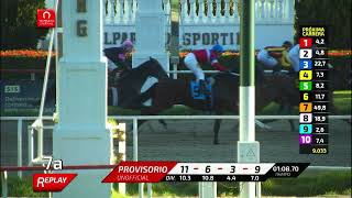 Vidéo de la course PMU PREMIO IL TROVATORE