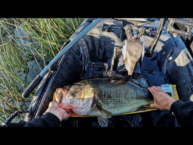 THE MAGNUM FLUTTER SPOON: A Fishing Film 