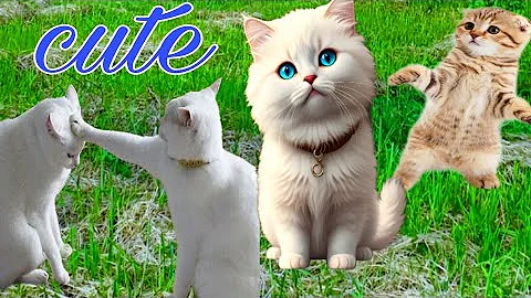 Video 4320881: funny cutekitten, kitten cute funny