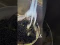 Elderberry Harvest, Year One #gardeninspiration #elderberry #healthyeating #backyardgarden